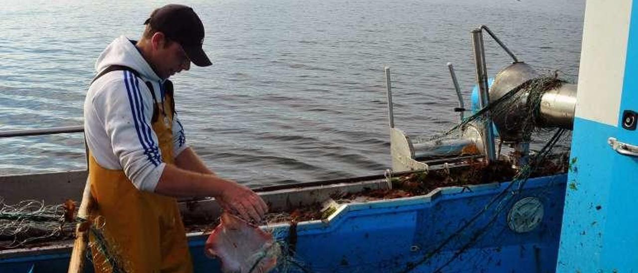 Un marinero captura una raya con  &quot;miños&quot;. // Iñaki Abella