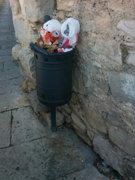 Deixalles a la Muralla de Girona