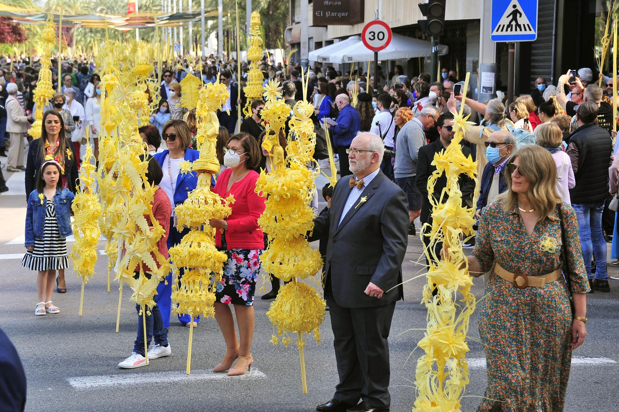 Domingo de Ramos en Elche