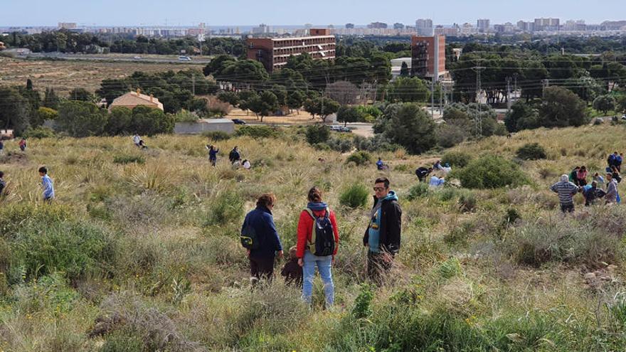 Más de 2.000 árboles y arbustos autóctonos se han plantado en el Monte Orgegia