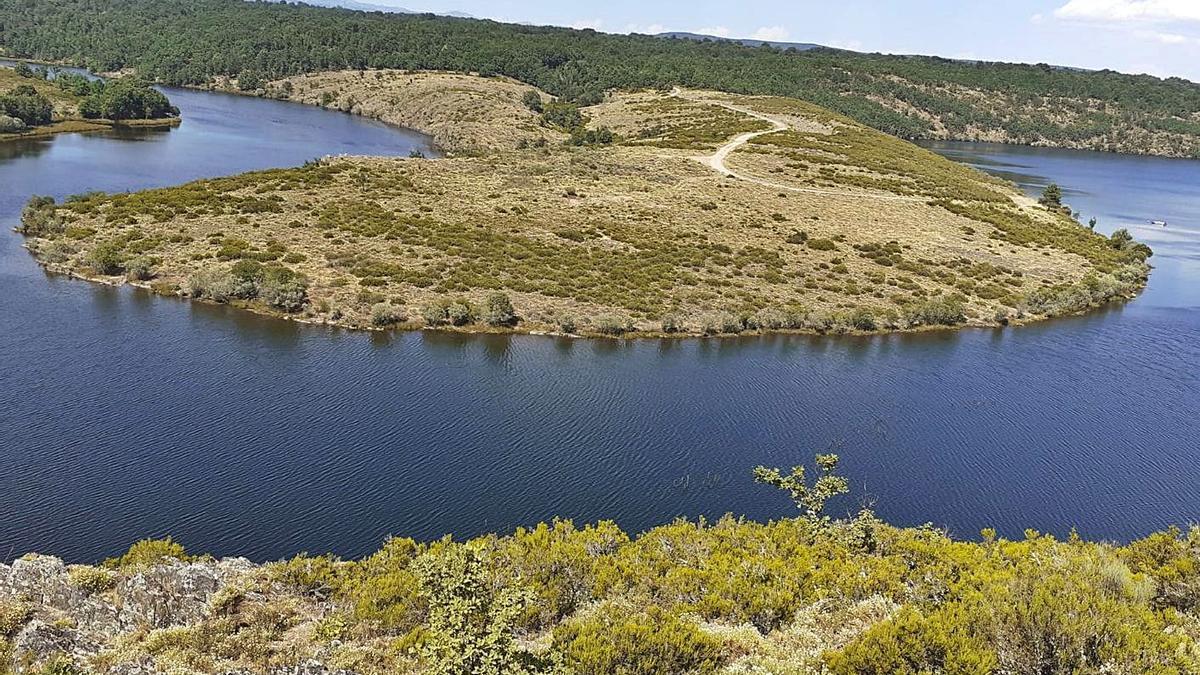 Meandro del río Tera en Manzanal de Arriba. | A. S.