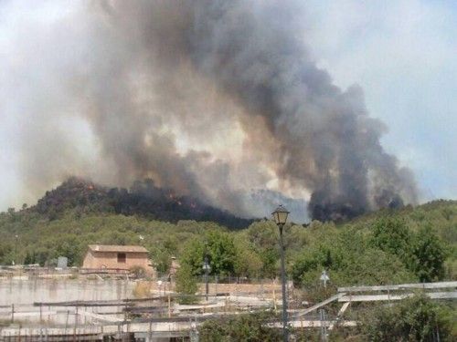 Alarm auf Mallorca: Waldbrand bei Andratx