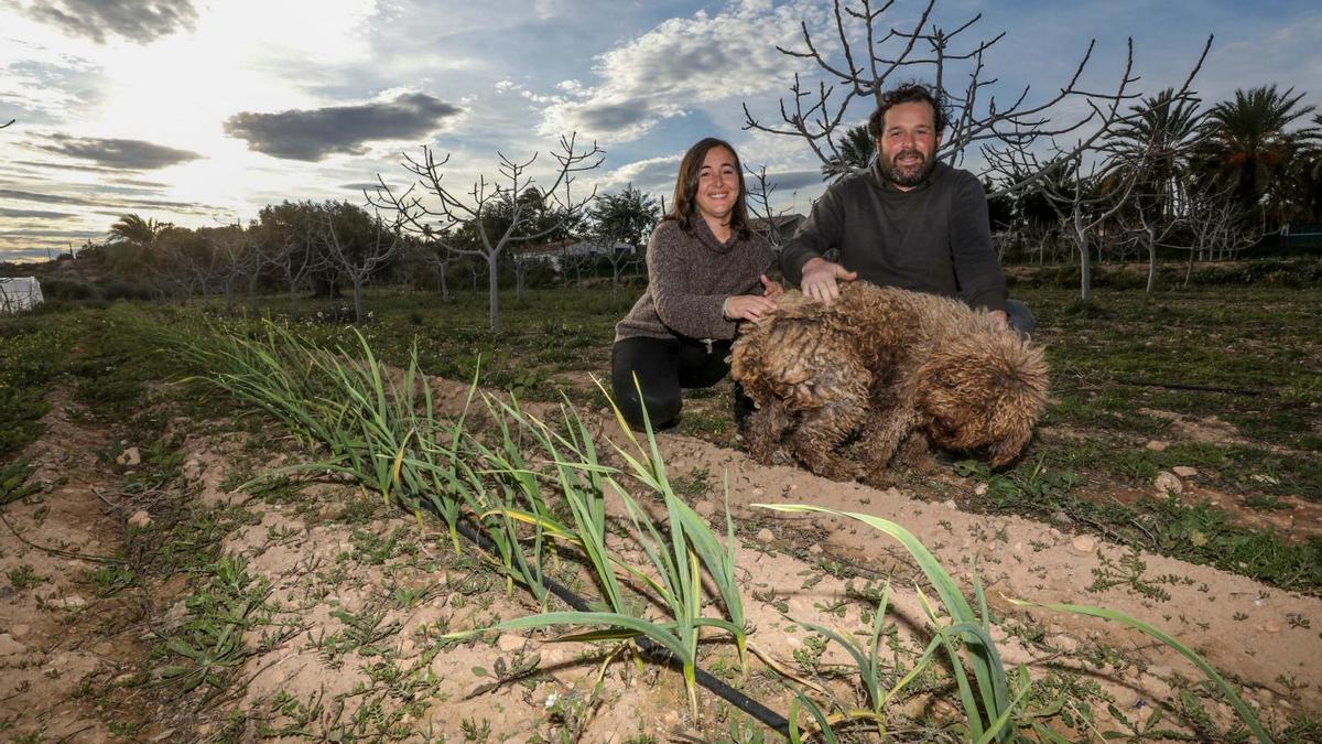 Esperanza y su marido, José Manuel, con su perro, en su finca donde cultivan en Elche.