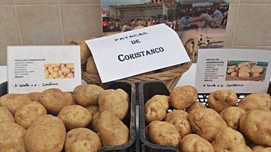 Patatas de Coristanco a la venta en un mercado.