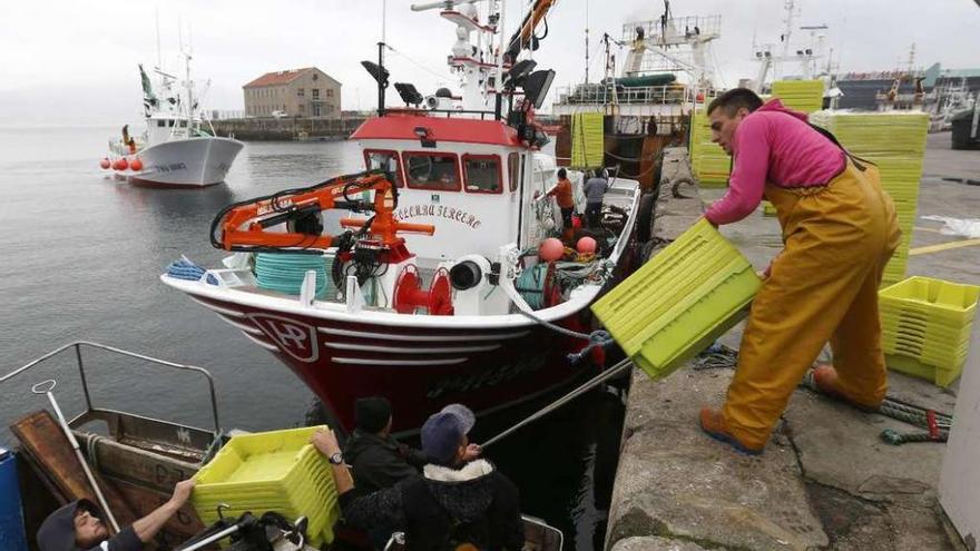 Varios marineros se preparan para salir a faenar.