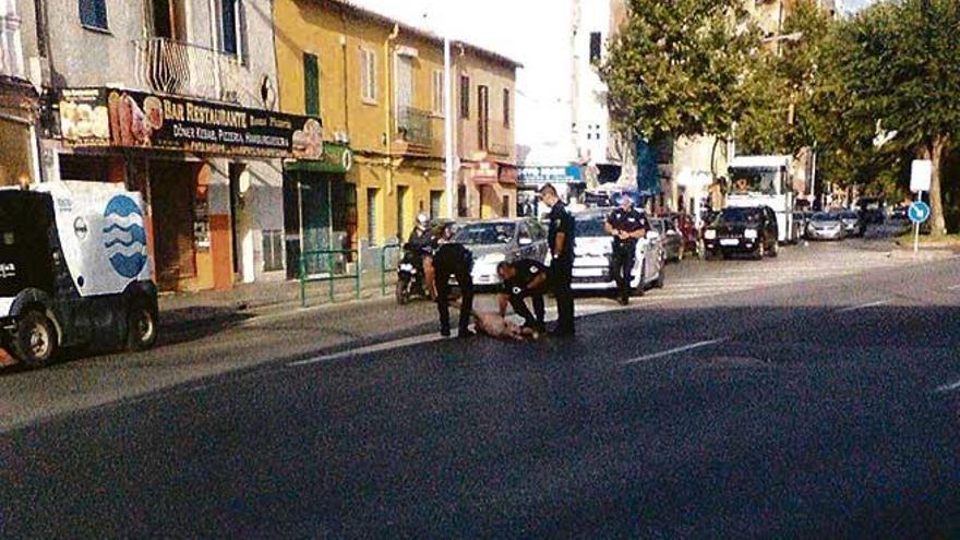 Un enfermo mental deambula desnudo y herido por la calle Manacor