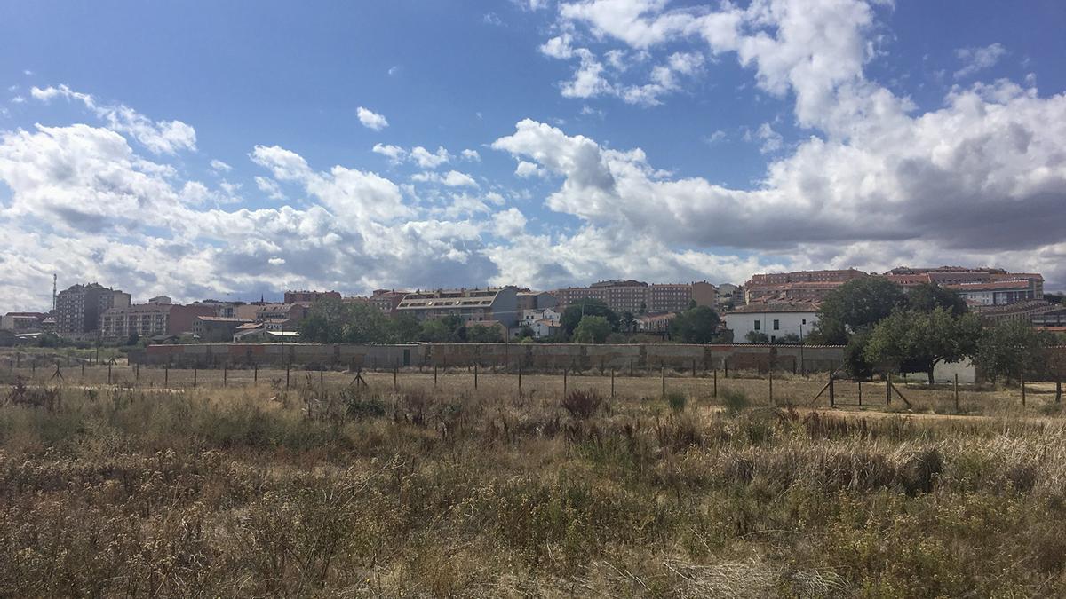 Los actos vandálicos y los robos en los huertos urbanos se han intensificado en los últimos días.