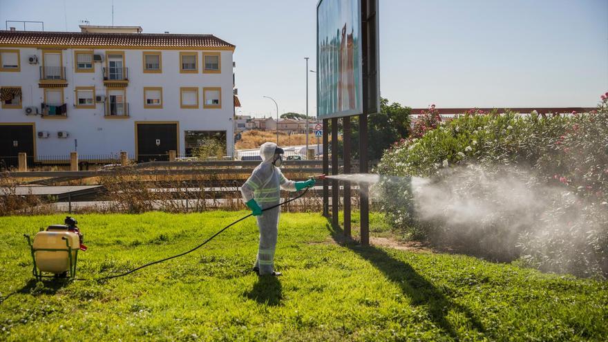 Andalucía detecta la circulación del Virus del Nilo en mosquitos