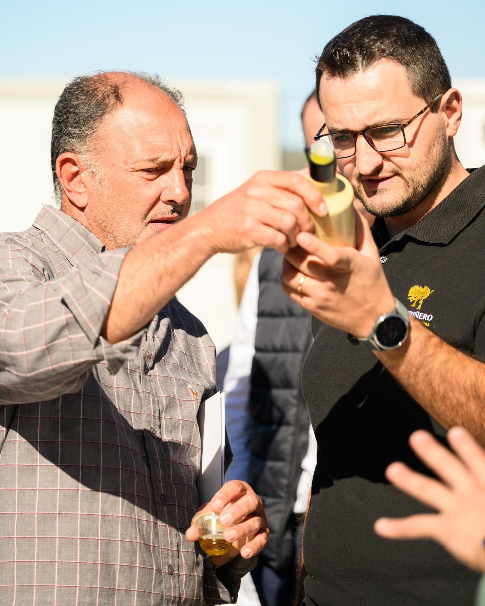 Enguera abre sus puertas a la II Feria del Aceite