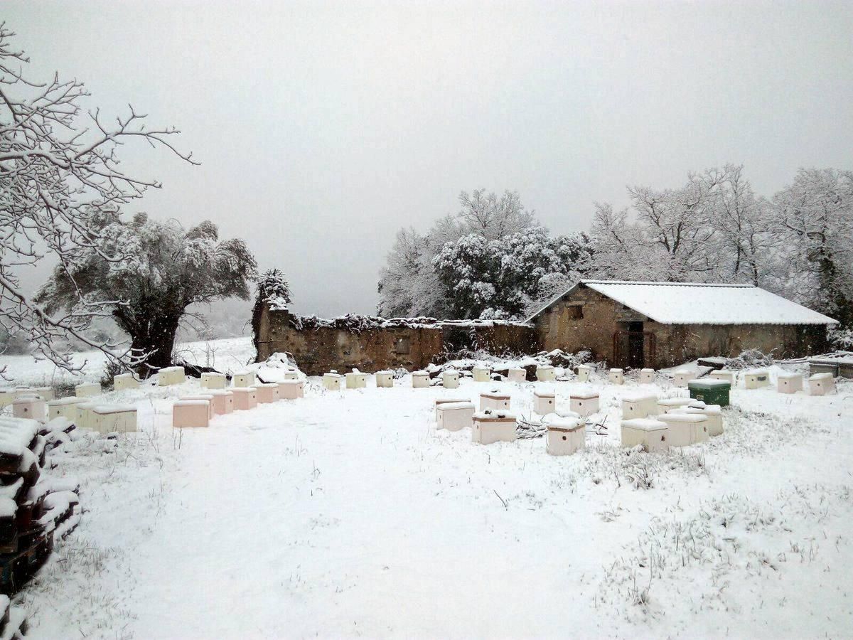 La nieve en primavera