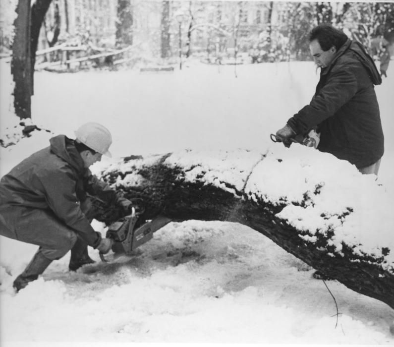 La nevada de 1993 que causó estragos en Asturias y cubrió Oviedo