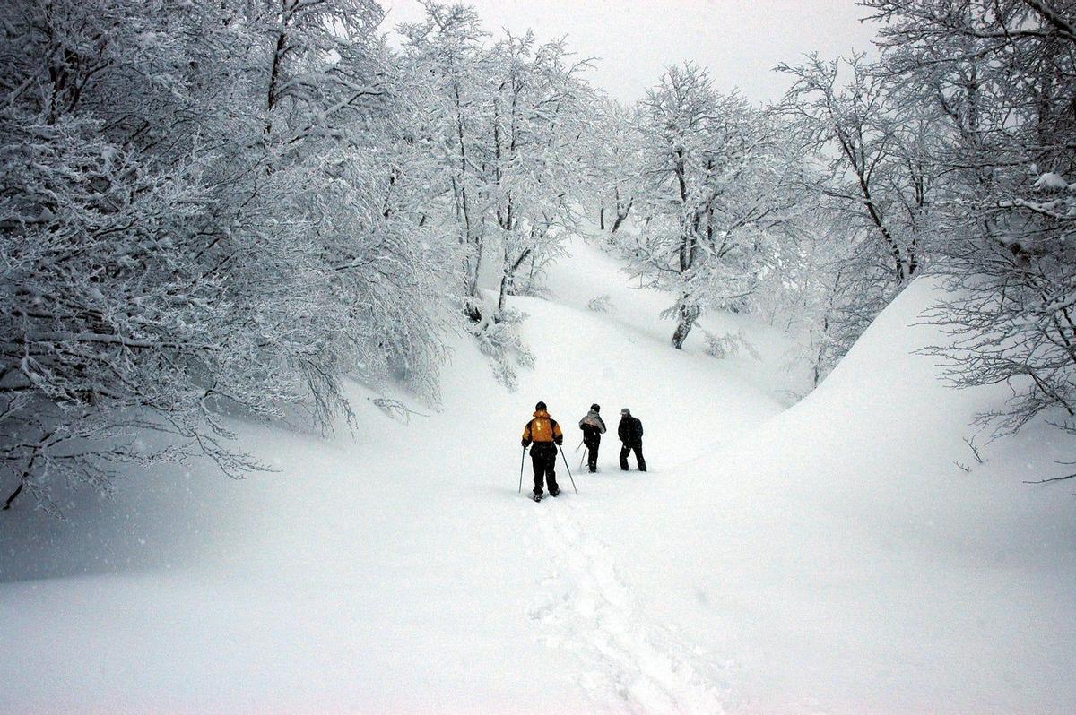 15 experiencias fantásticas en la nieve