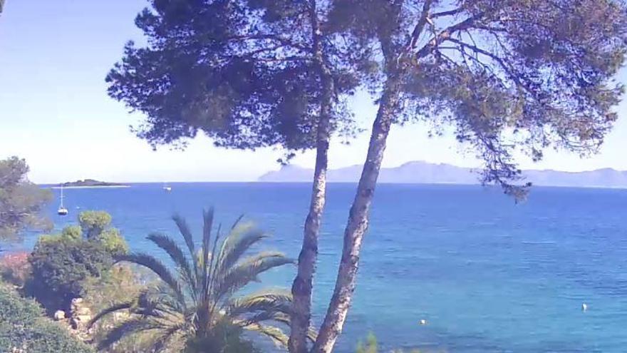 Ein Blick wie ein Mallorca-Klischee: Alcanada mit Meer, Palme und Sonne.