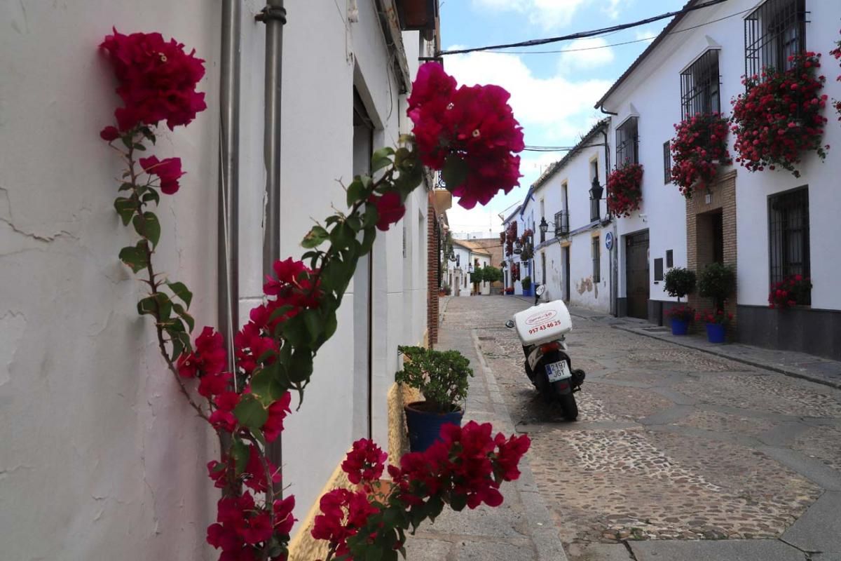 Paseo por el Alcázar Viejo durante la crisis del coronavirus