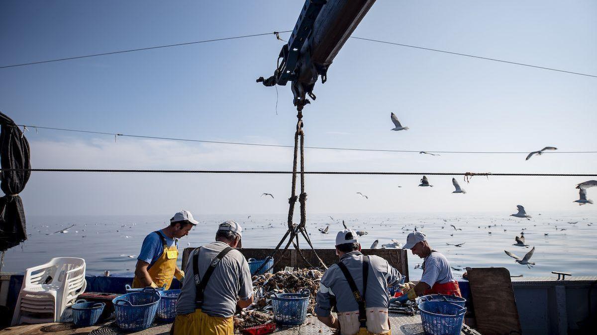 Las lonjas de Castellón capturan 7.866 toneladas de pescado en un año y mueven 27,5 millones de euros