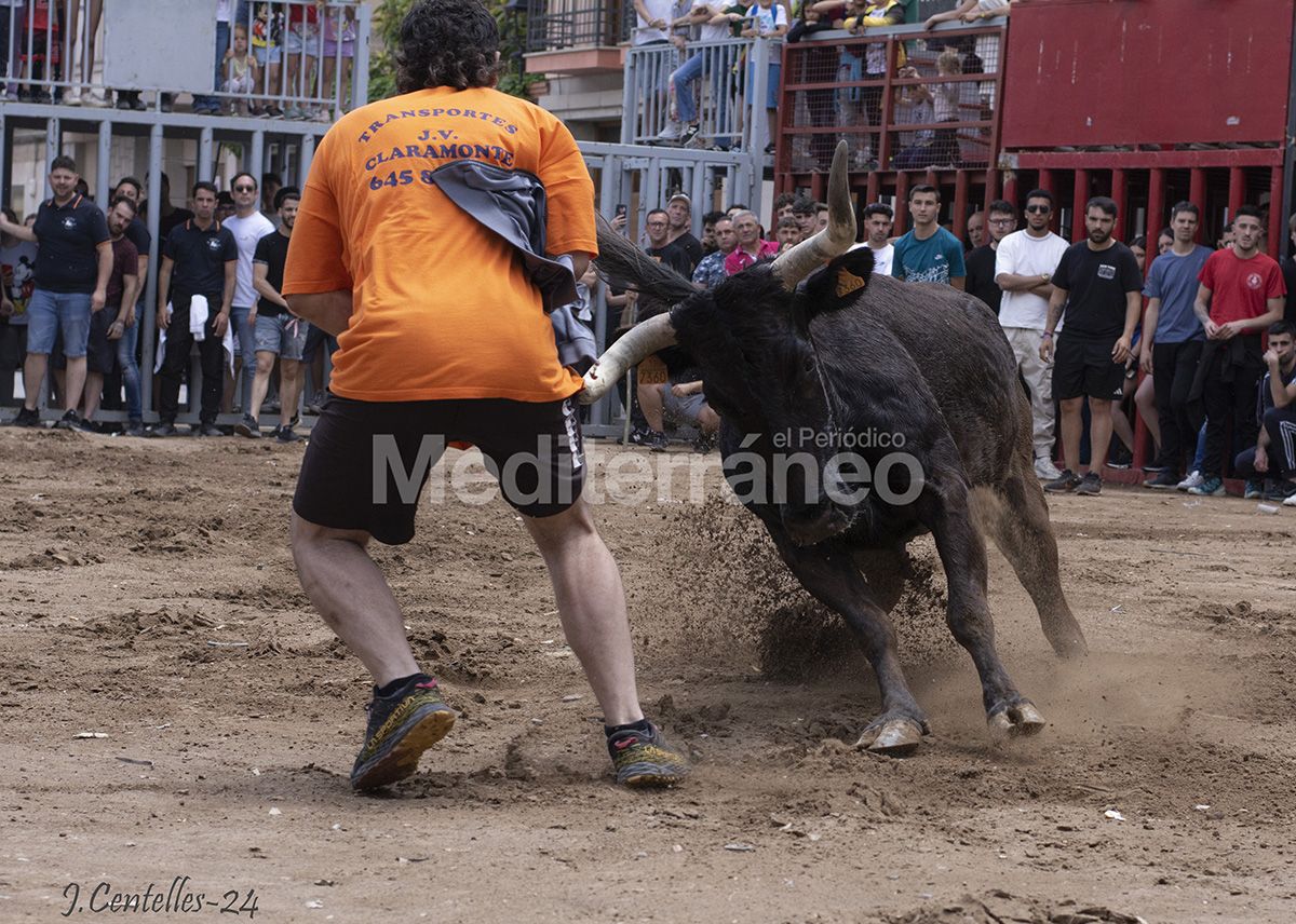 Almassora: Dos grandes ferias con 34 astados
