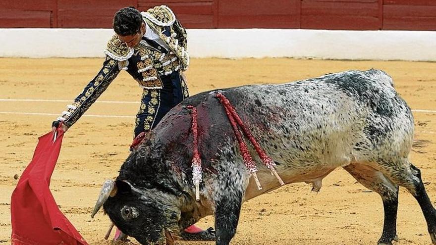 Alaban al torero extremeño Posada de Maravillas por brindar un toro a un homosexual amenazado