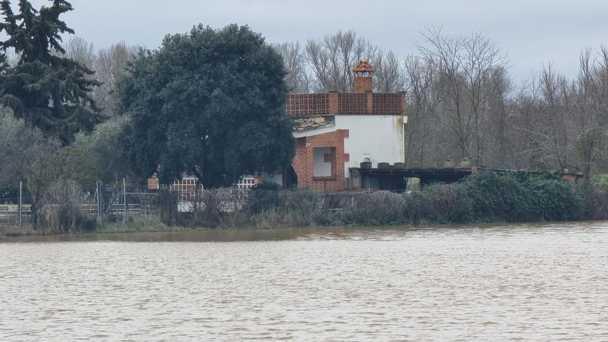 GALERÍA | La crecida del río Duero anega algunas zonas de Toro