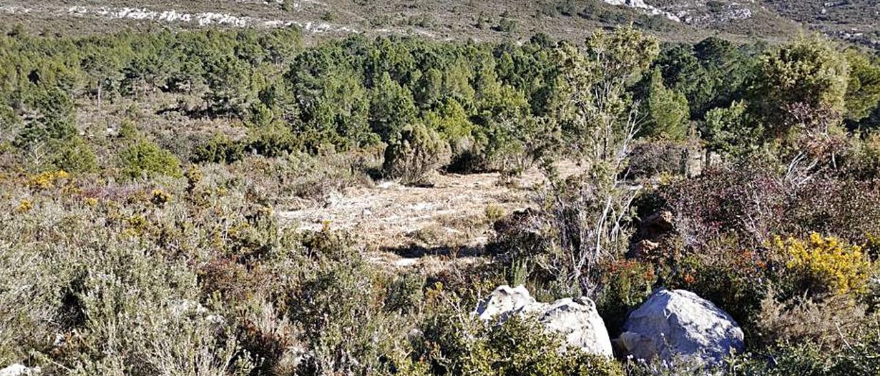 El paraje del Pla de Barber, en Benifairó de la Valldigna. | LEVANTE-EMV