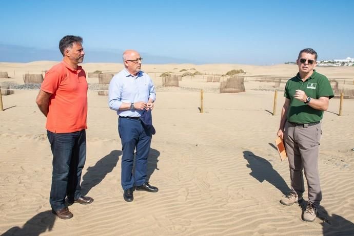 Segunda fase del proyecto de recuperación de las dunas de Maspalomas