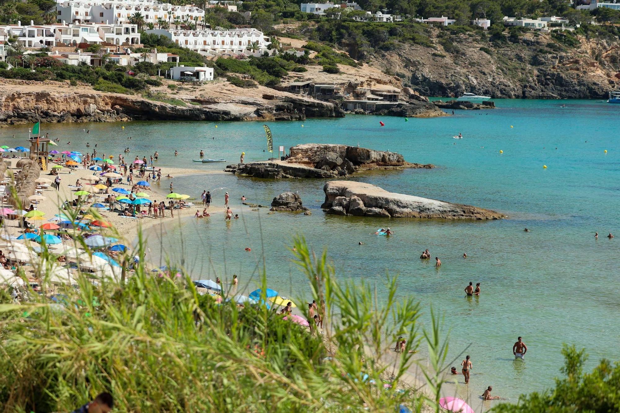 Galería: Microalgas en algunas playas de Ibiza
