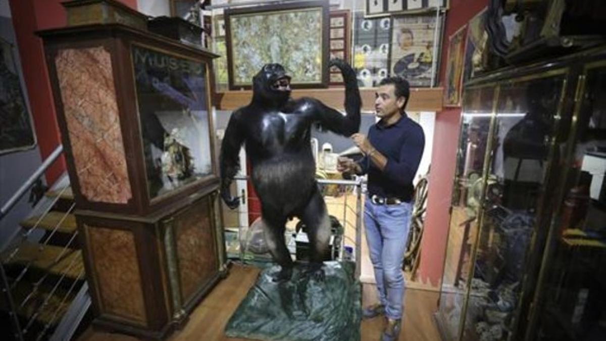 Víctor Gómez, junto a uno de los tres gorilas que se hicieron célebres en el Taxidermista, en una de sus tintinescas tiendas.