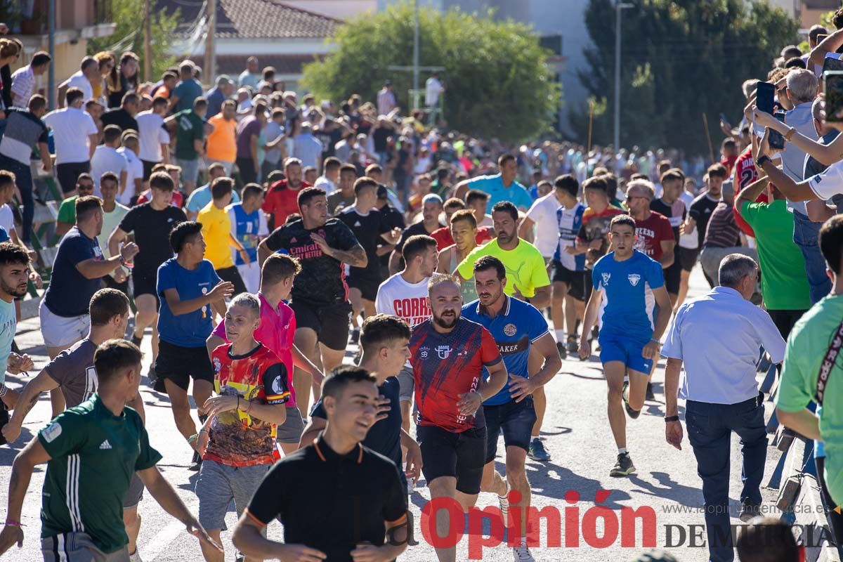 Quinto encierro de la Feria del Arroz de Calasparra