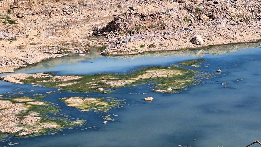 Aguas negras en el barranco del Poyo en Catarroja