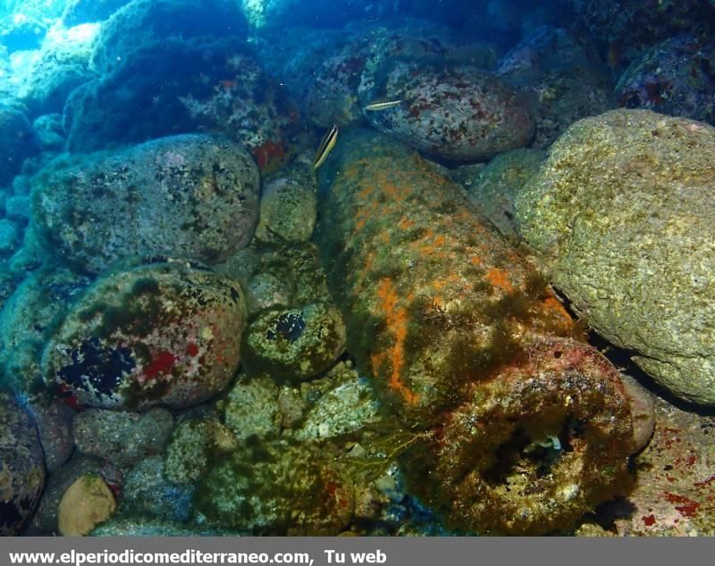 Submarinismo en Castellón