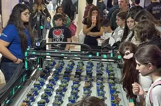 Pimientos de Padrón para Navidad: alumnos de FP crean un robot industrial para cultivar la hortaliza todo el año
