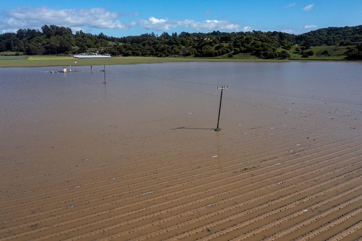 Campos inundados en Pájaro (California) debido al paso de un río atmosférico