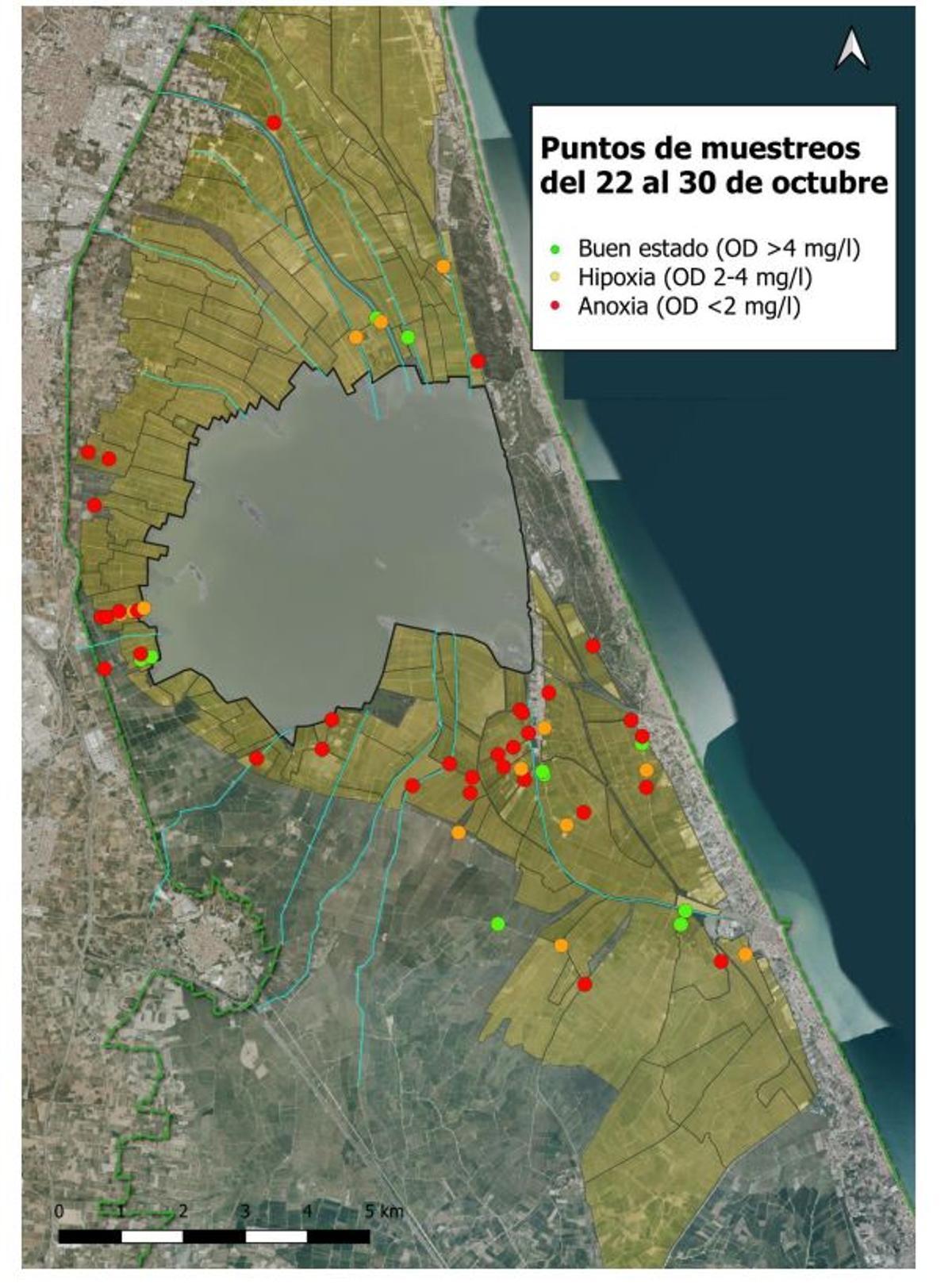 Puntos donde se detecta anoxia según el último boletín ambiental de l'Albufera