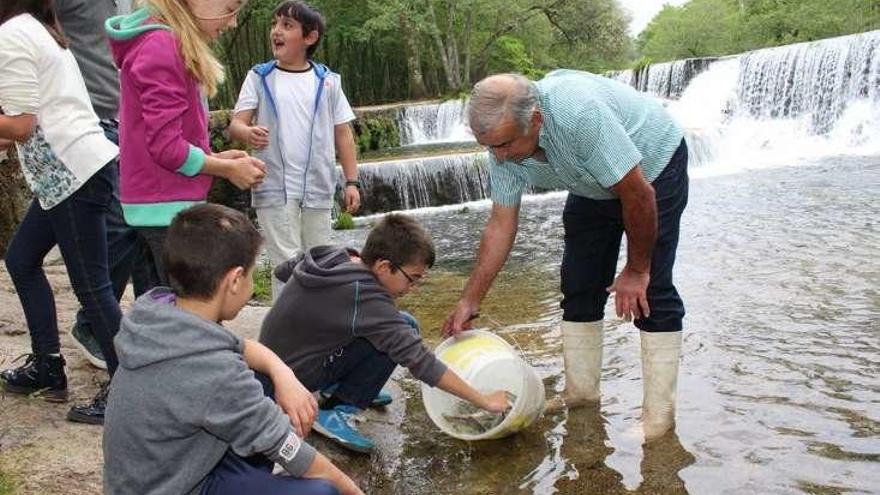 Varios escolares proceden a la suelta de alevines de truchas.