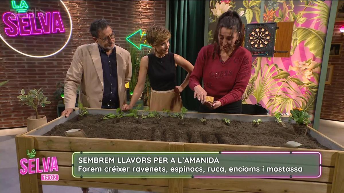 Alba Falgàs, a la dreta, al programa 'La selva' de TV3.