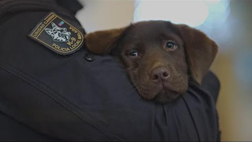 La emotiva felicitación de Navidad de la Policía Local de Málaga, protagonizada por Keta