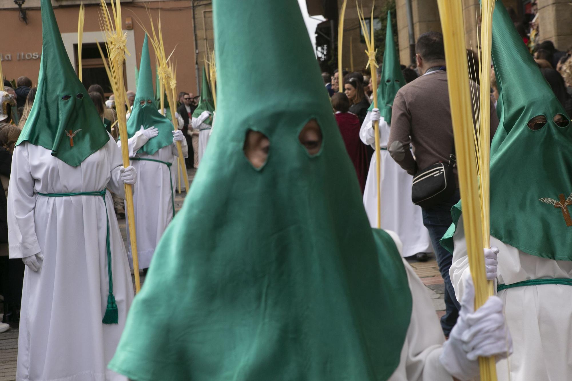 EN IMÁGENES | Bendición de Ramos y procesión de La Borriquilla en Avilés