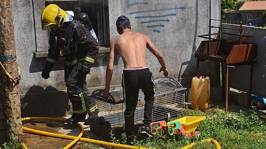 Los conejos se encontraban en una jaula