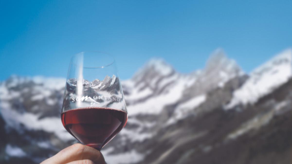 Somontano brindará 'por todo lo alto' para celebrar el Día del Vino DO