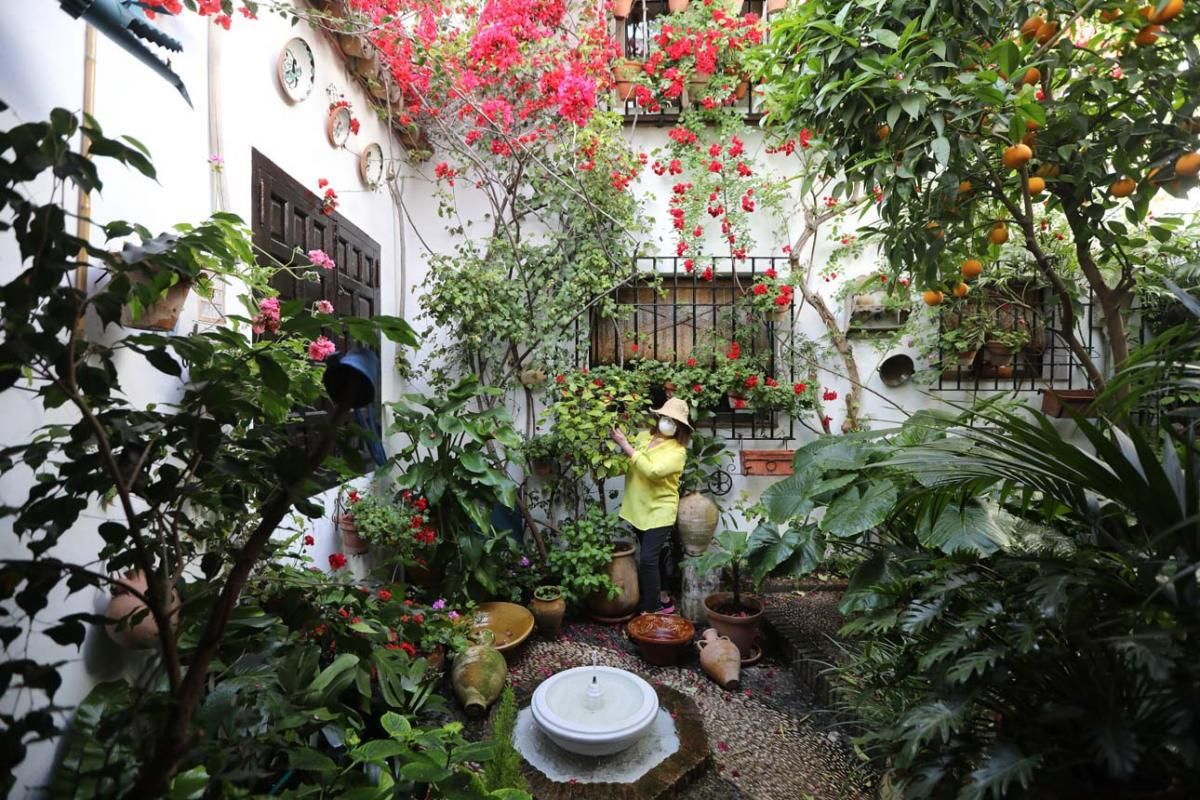 Los Patios de Córdoba. Santa Marina