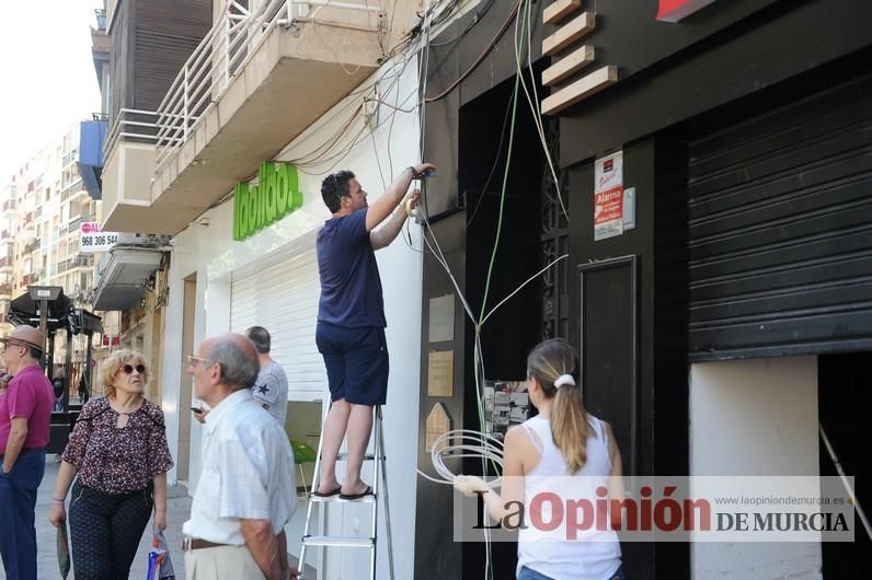 El día después de la caída de la rama del ficus de