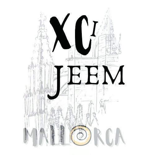 Las XCI Jornadas tienen su propio logotipo, con La Seu de fondo.