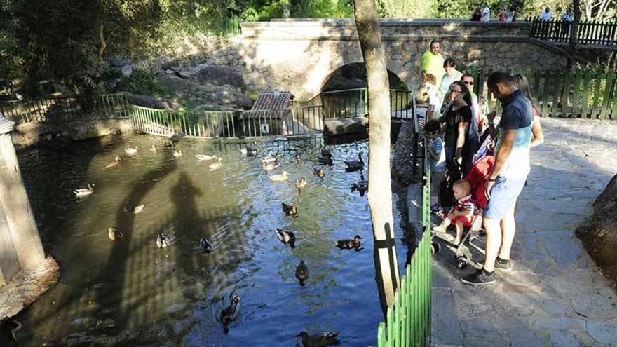 Medio Ambiente quiere ahorrar agua en el parque de Los Pinos de Plasencia