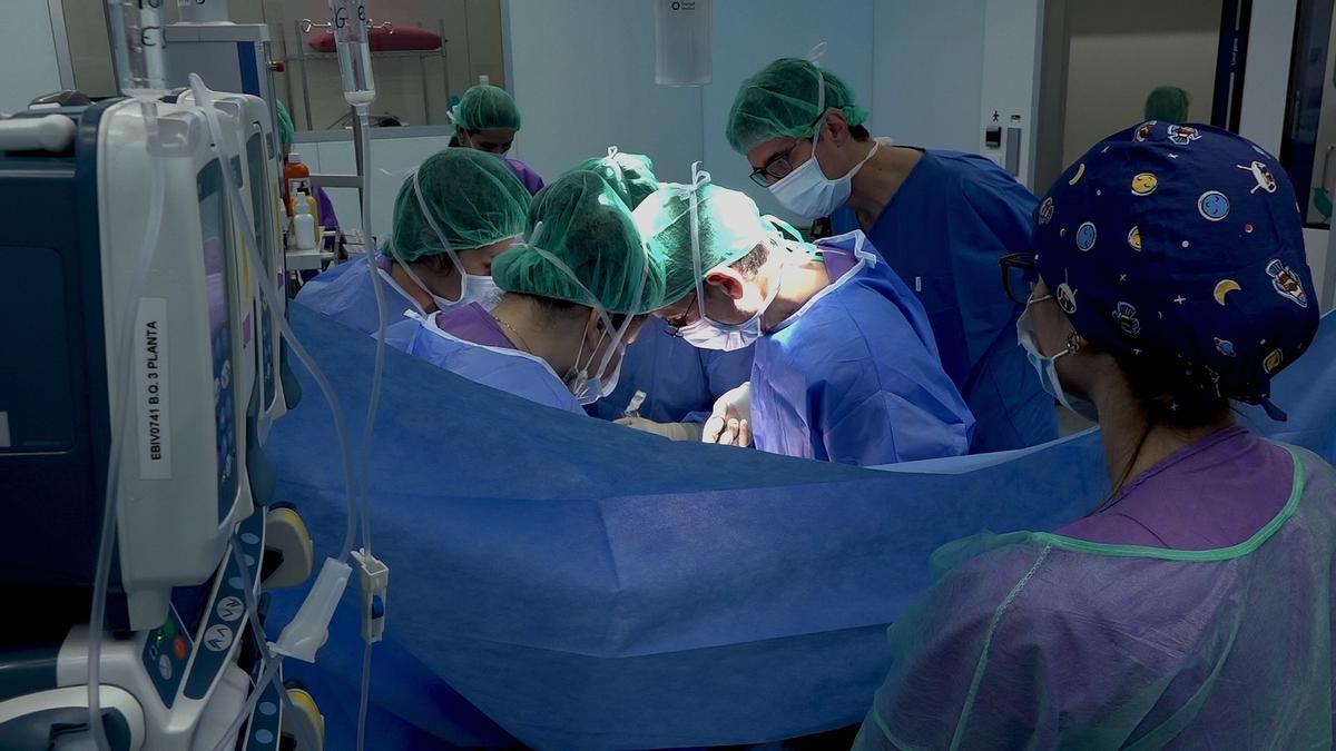 Operación de trasplante de riñón, en una imagen de archivo.