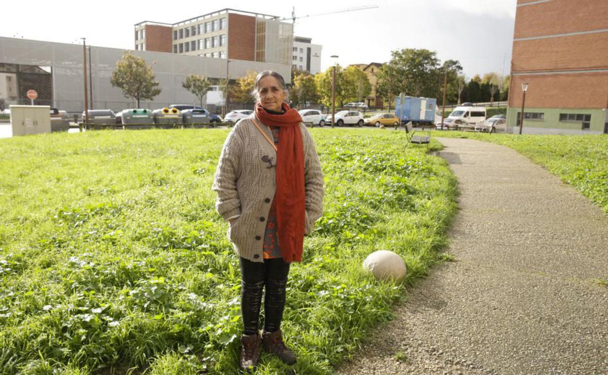 Ceares aplaude su futura zona verde