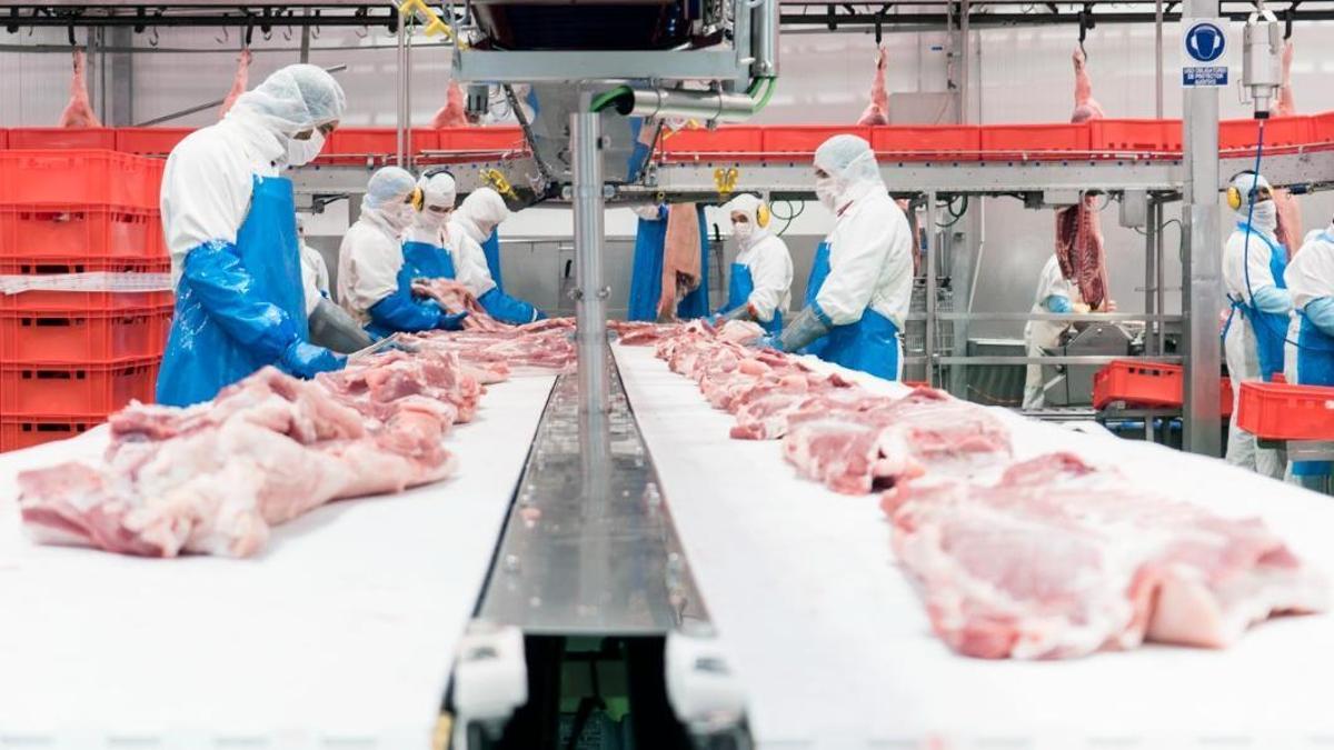 Una de las salas del matadero de Ejea de los Caballeros, del grupo Vall Companys.