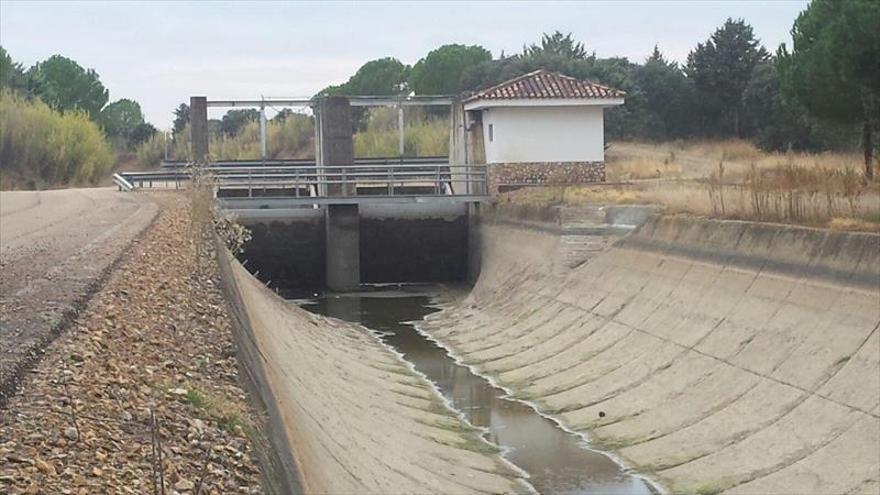 Casi un millar de hectáreas se transformarán en regadío