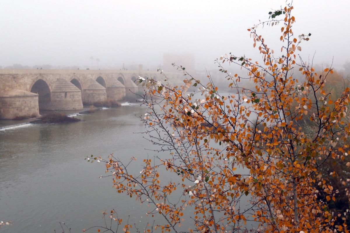 La niebla reina en Córdoba