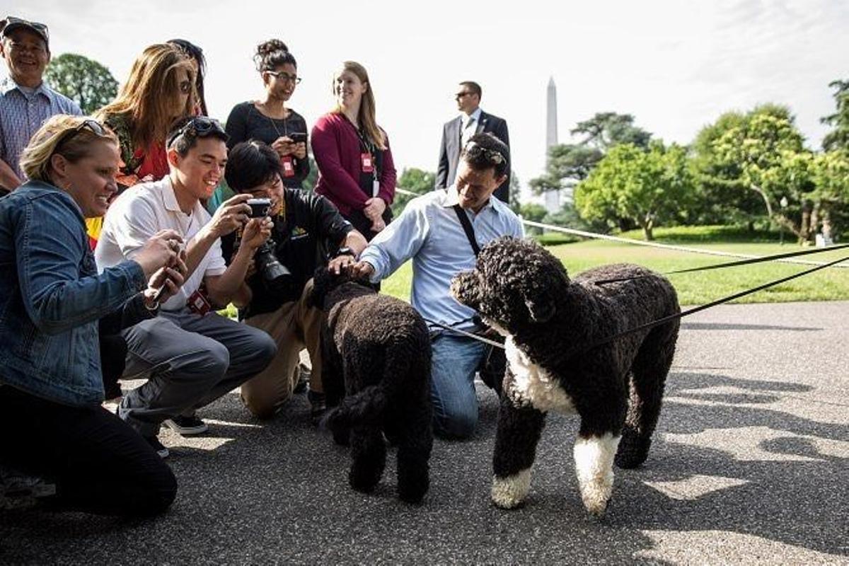 Bo y Sunny, las mascotas de los Obama