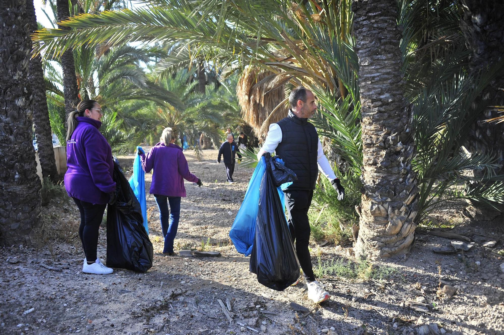 Limpieza de huertos en Elche