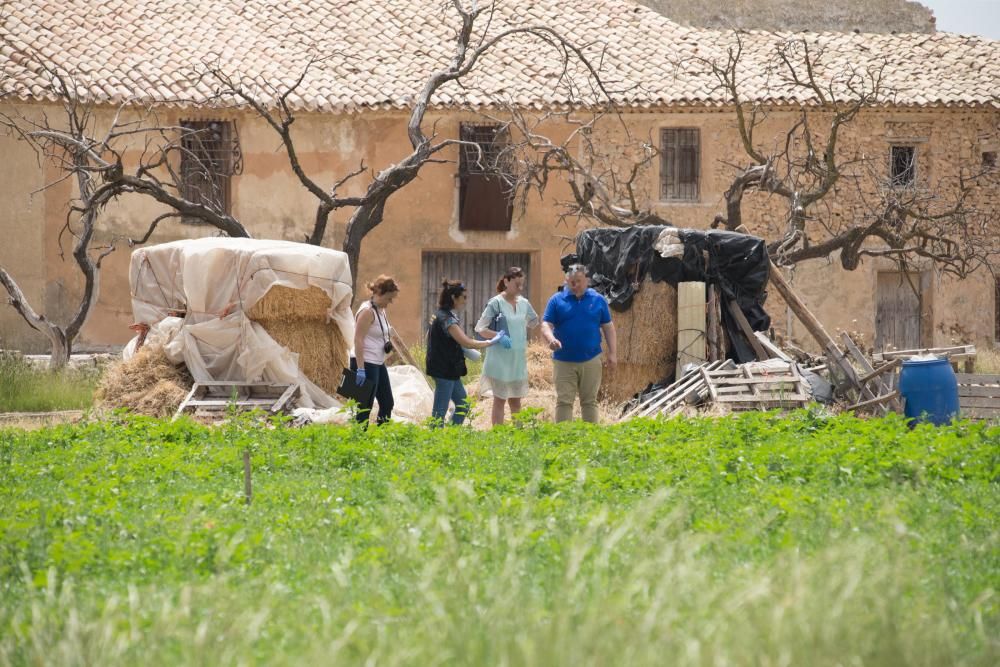 Matan a un anciano con una hoz en su granja de Caravaca de la Cruz